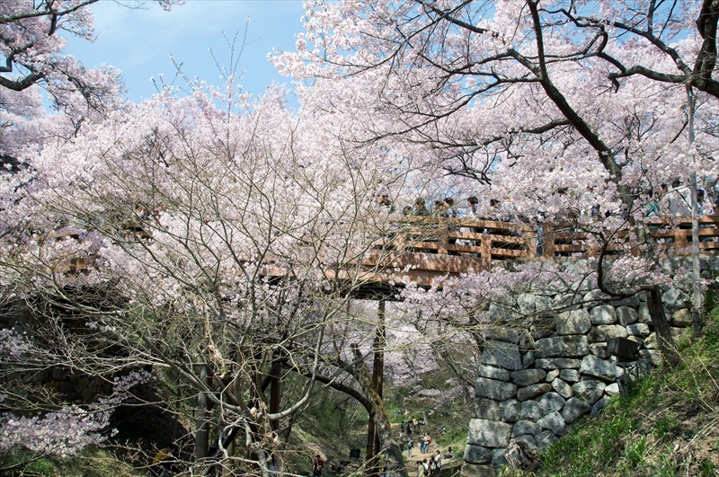 1009_高遠城址公園_長野