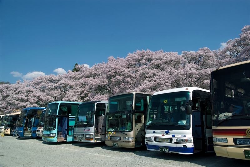1032_高遠城址公園_長野