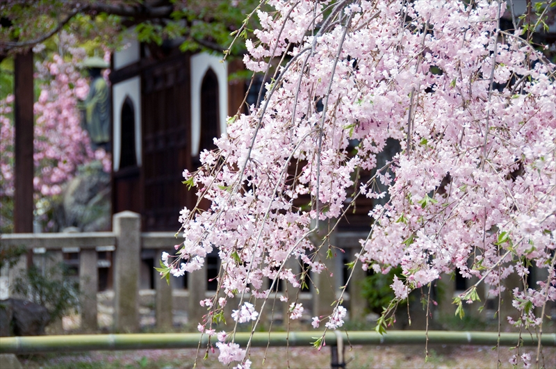 1078_洛中 上品蓮台寺_京都