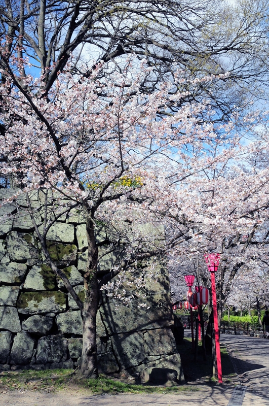 1019_和歌山城_和歌山