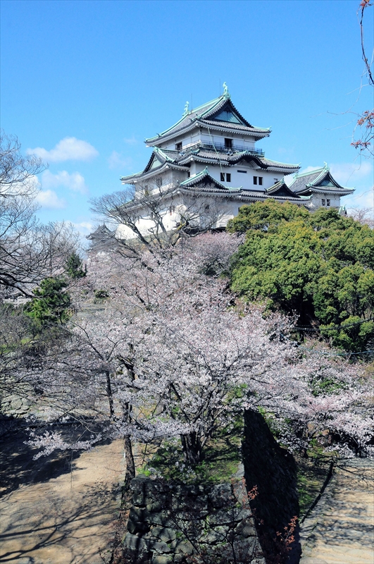 1024_和歌山城_和歌山