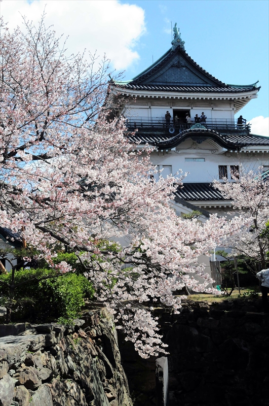 1032_和歌山城_和歌山