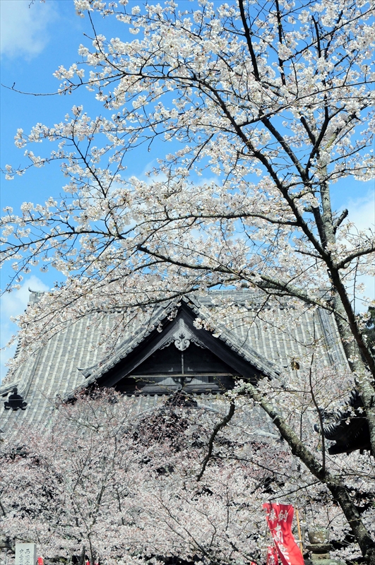 1007_紀三井寺_和歌山