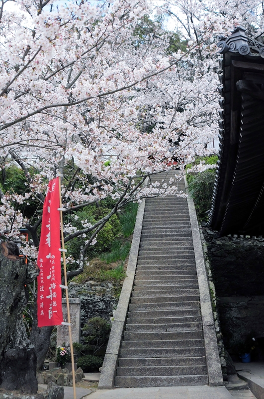 1011_紀三井寺_和歌山