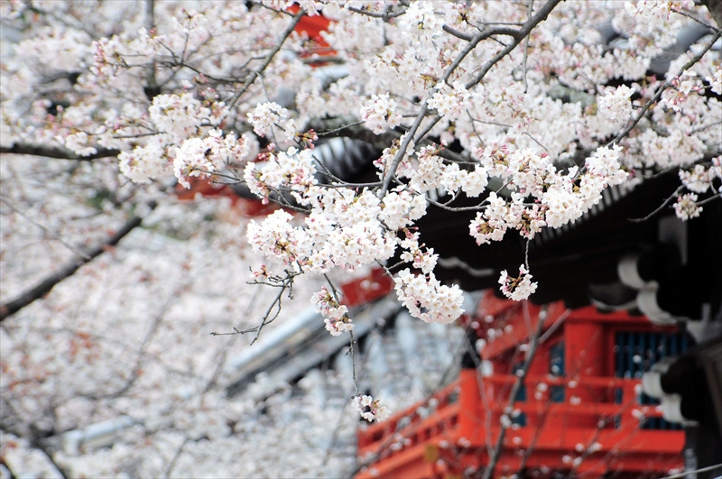 1013_紀三井寺_和歌山