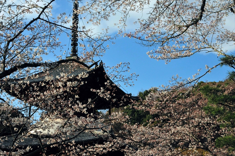 1038_根来寺_和歌山