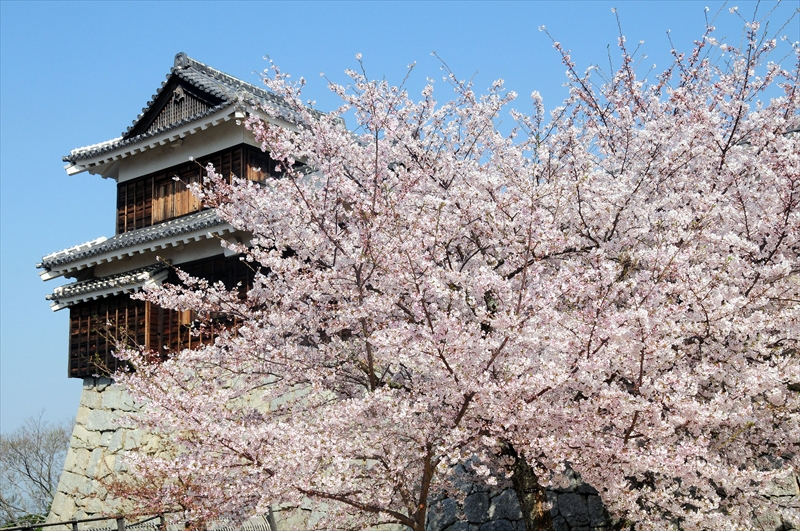 1003_松山城_愛媛