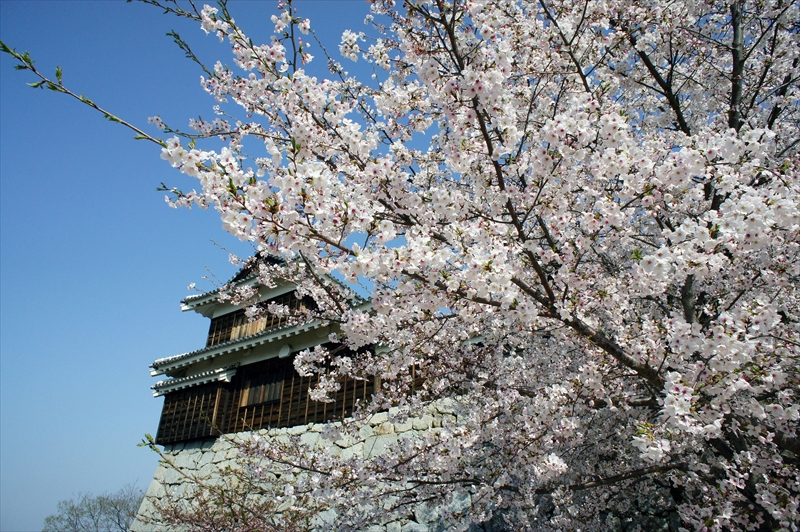 1006_松山城_愛媛