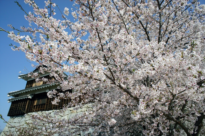 1007_松山城_愛媛