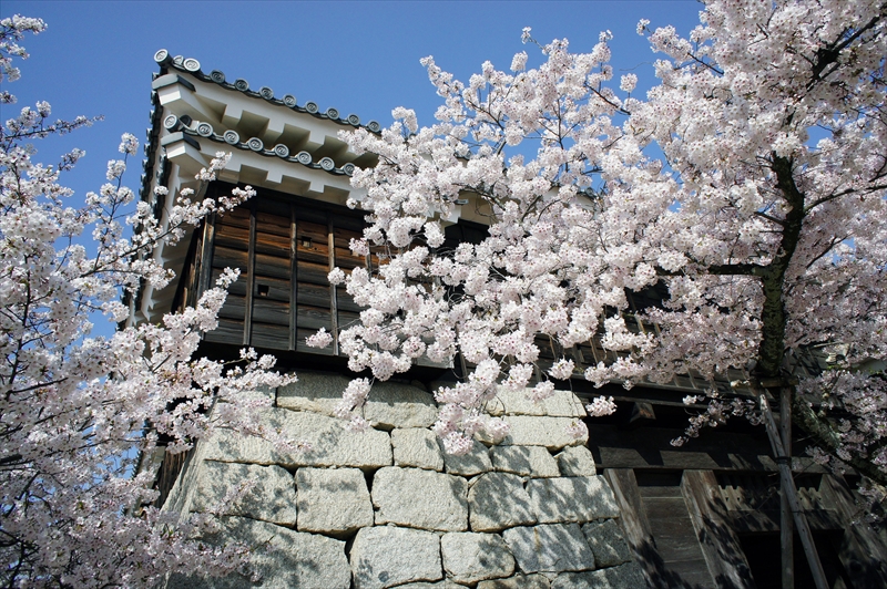 1012_松山城_愛媛