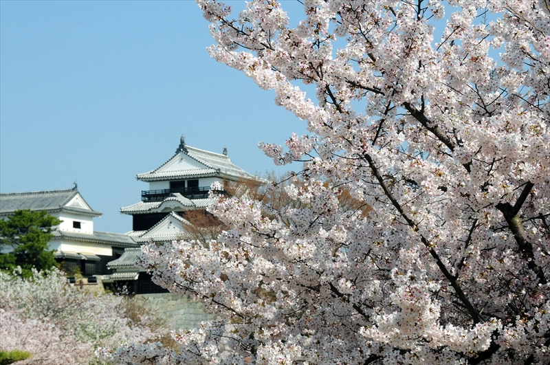 1017_松山城_愛媛