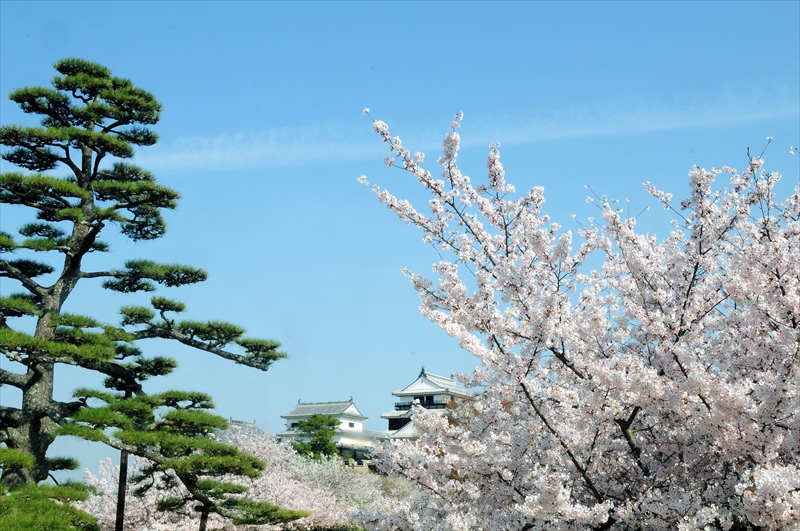 1019_松山城_愛媛