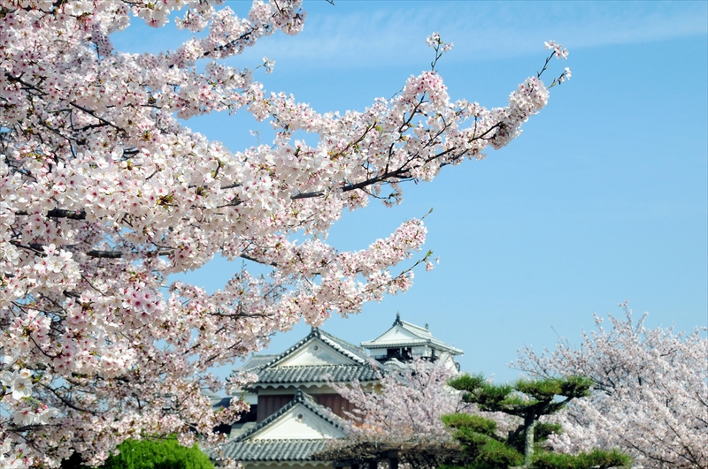 1021_松山城_愛媛