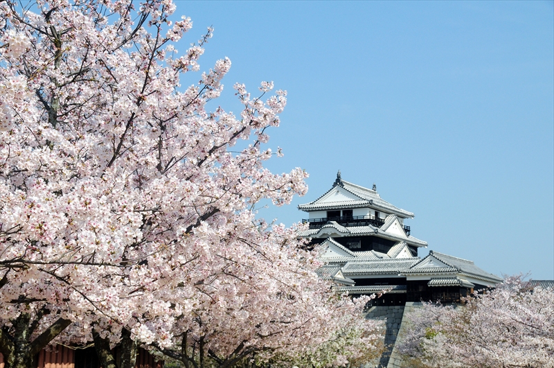 1024_松山城_愛媛