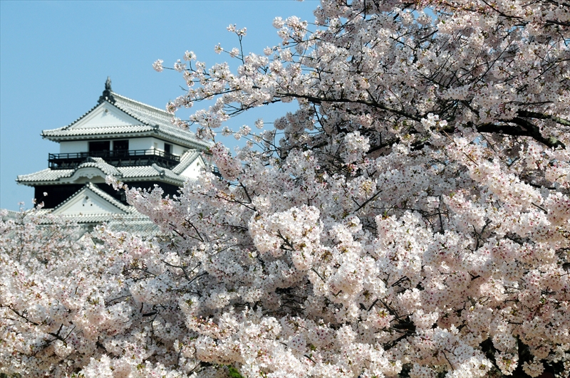 1025_松山城_愛媛