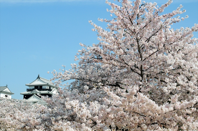 1026_松山城_愛媛