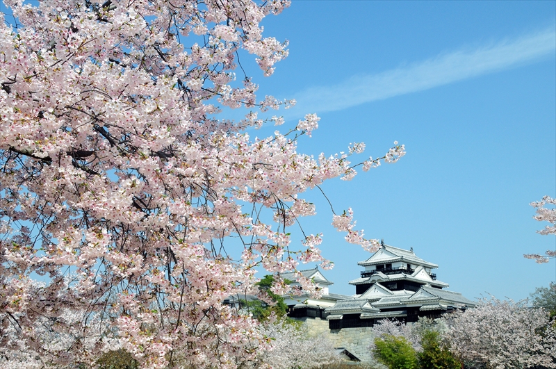 1033_松山城_愛媛