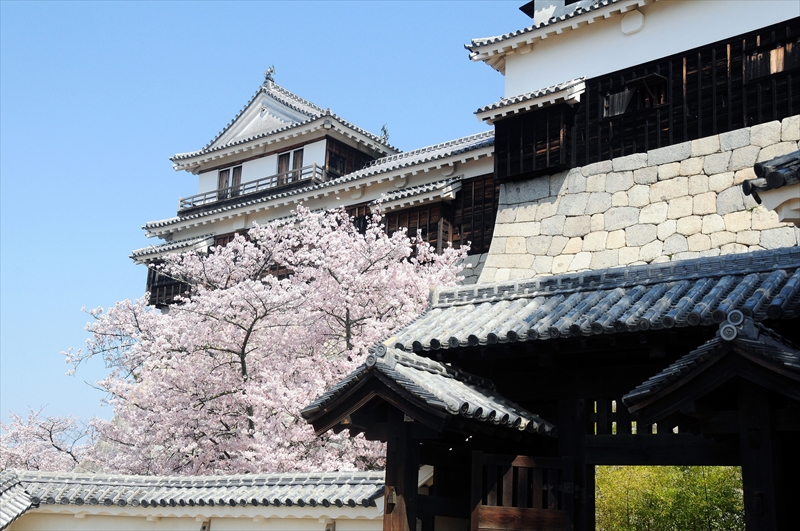 1043_松山城_愛媛
