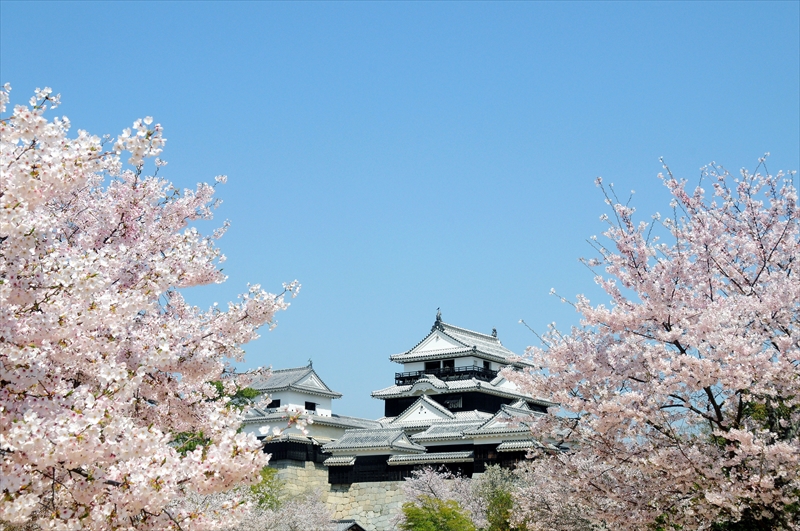 1044_松山城_愛媛