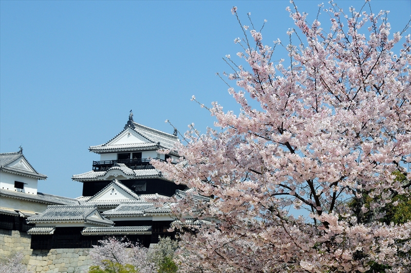 1045_松山城_愛媛