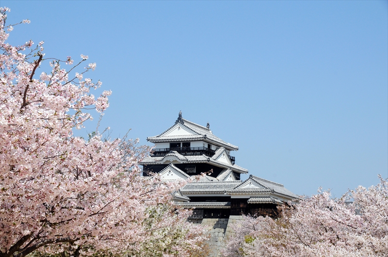 1053_松山城_愛媛