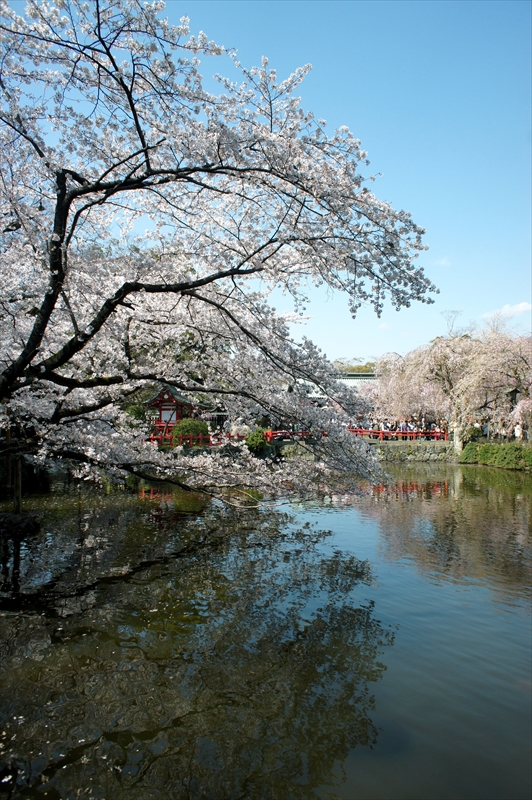 1082_三嶋大社_静岡