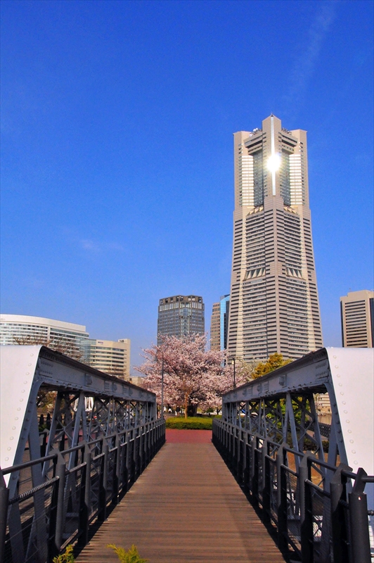 1037_なとみらい_神奈川