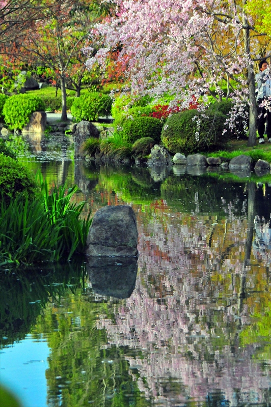 1157_洛中 東寺_京都
