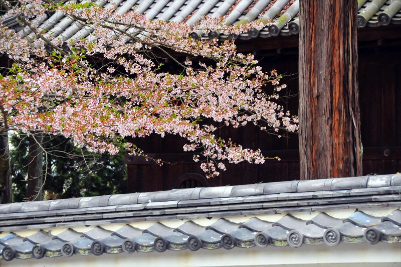 1038_洛東 南禅寺_京都