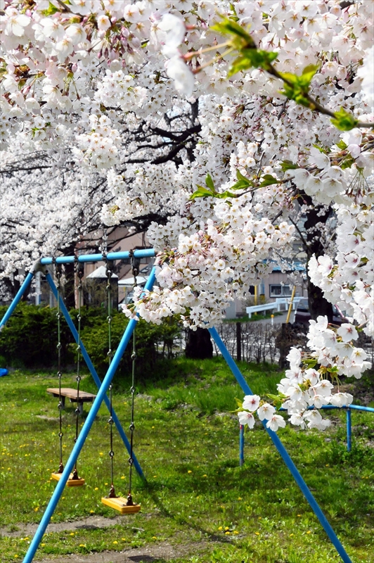 1001_北上展勝地_岩手