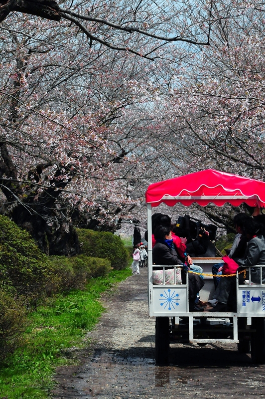 1006_北上展勝地_岩手