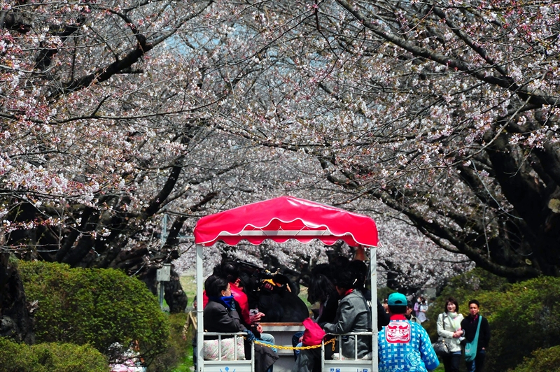 1007_北上展勝地_岩手