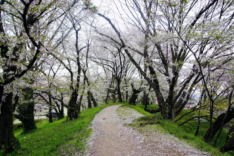 1001_霞城公園_山形