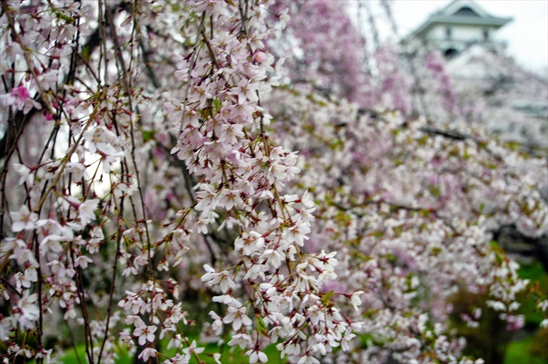 1091_上山城_山形