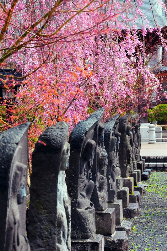 1402_弘前市最勝院_青森