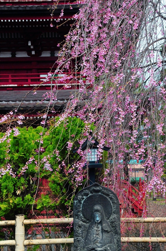 1404_弘前市最勝院_青森