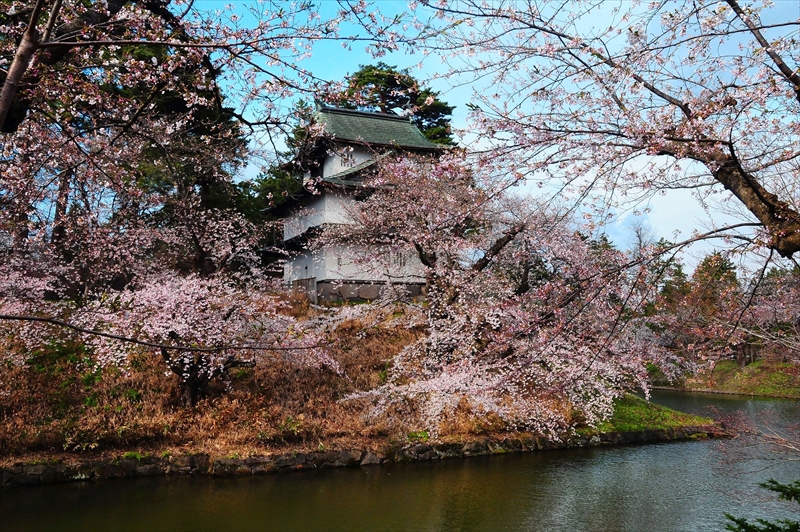 1133_弘前公園_青森