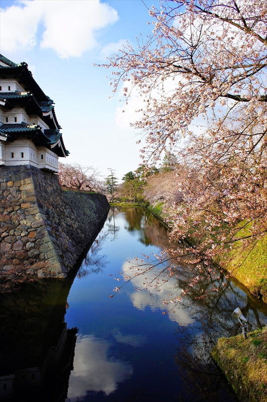 1037_弘前公園_青森