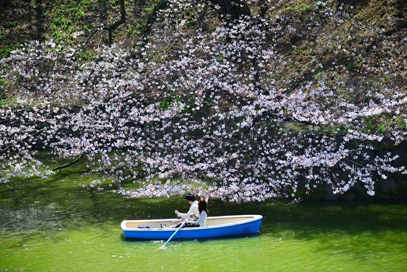 1082_千鳥ヶ淵_東京