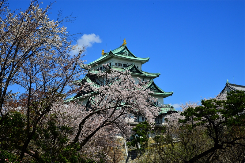 1010_名古屋城_愛知