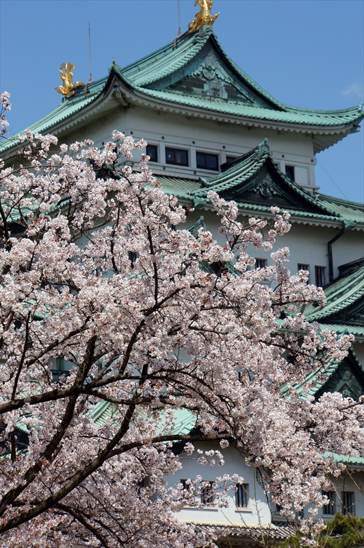 1013_名古屋城_愛知