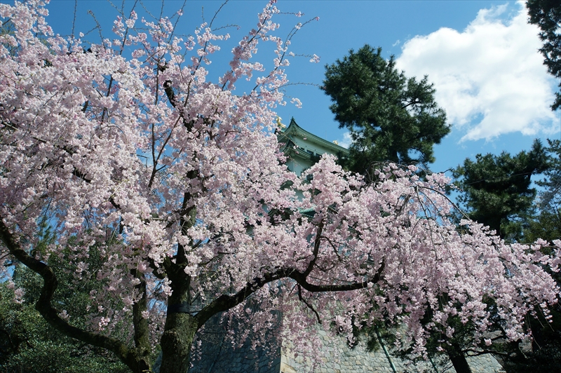 1016_名古屋城_愛知