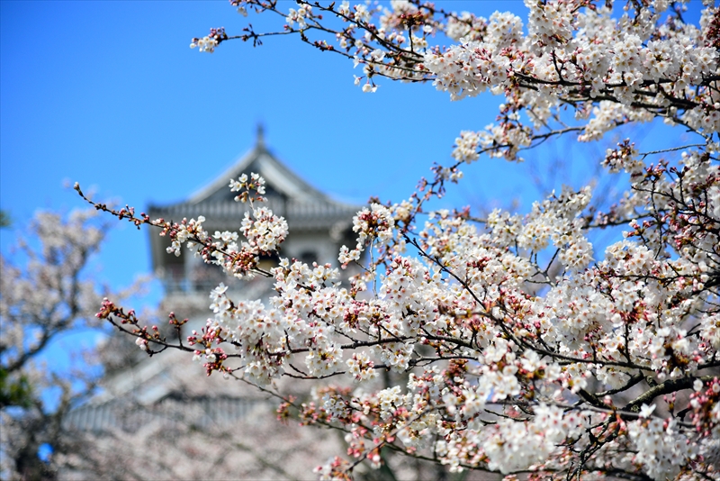 1003_6_豊公園長浜城_滋賀