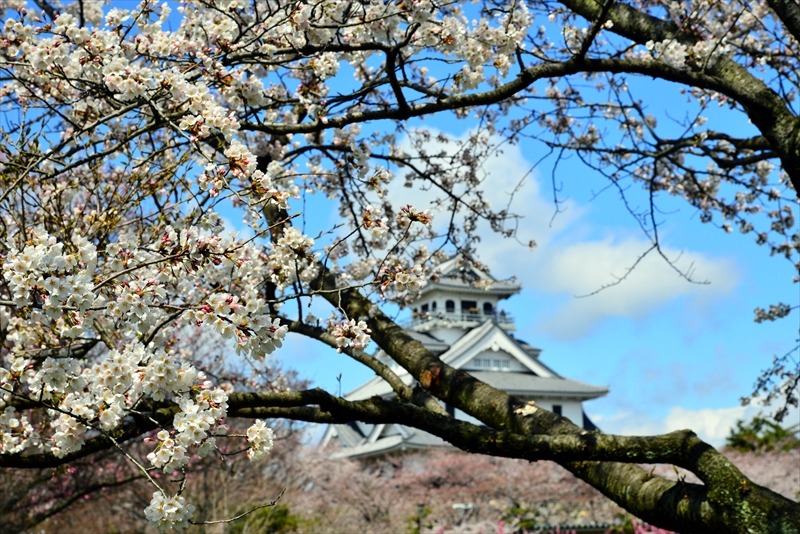 1005_6_豊公園長浜城_滋賀