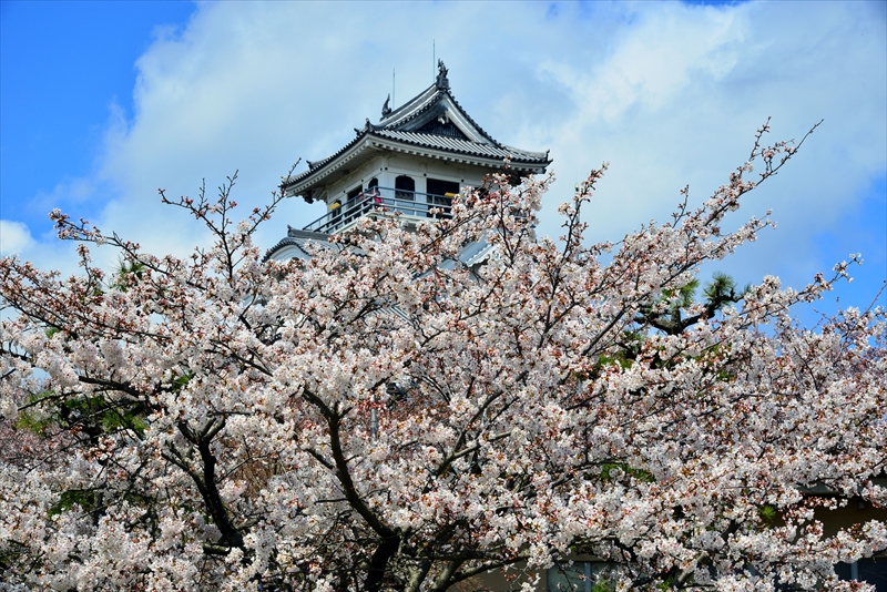 1008_6_豊公園長浜城_滋賀