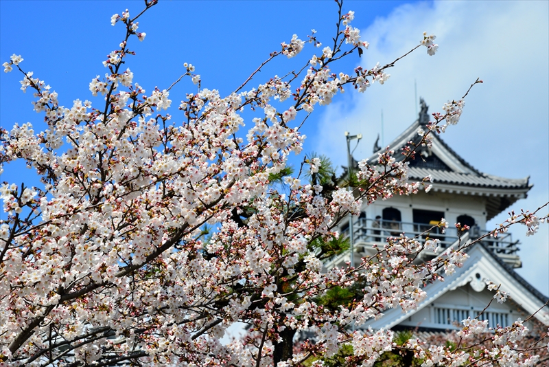 1009_6_豊公園長浜城_滋賀