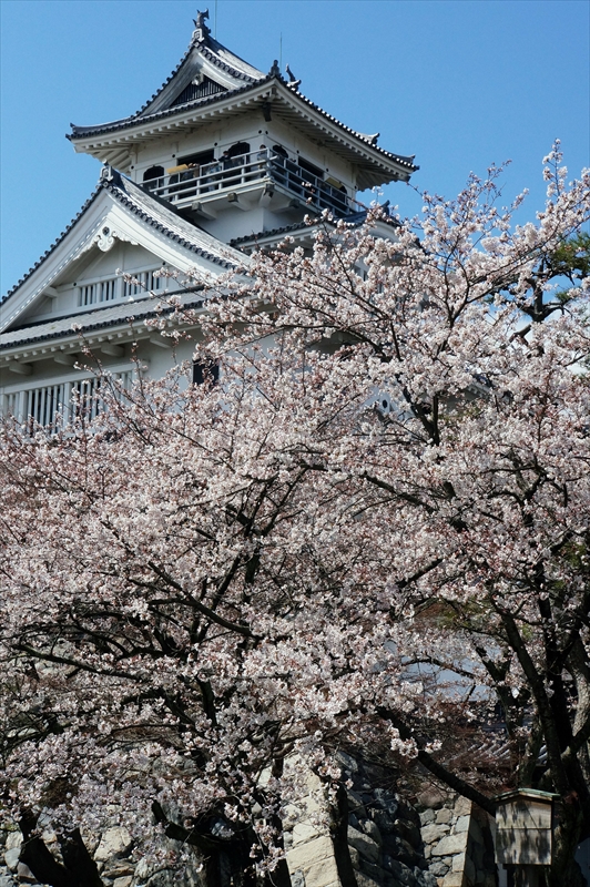 1011_6_豊公園長浜城_滋賀