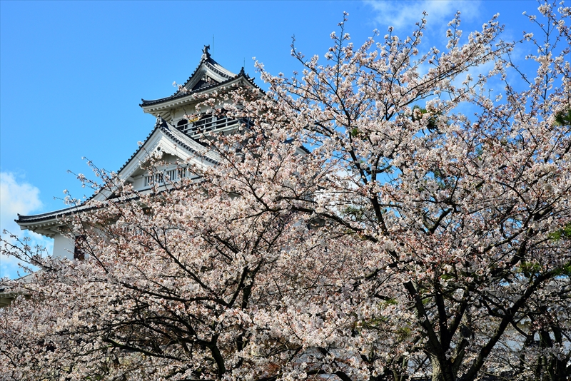 1013_6_豊公園長浜城_滋賀