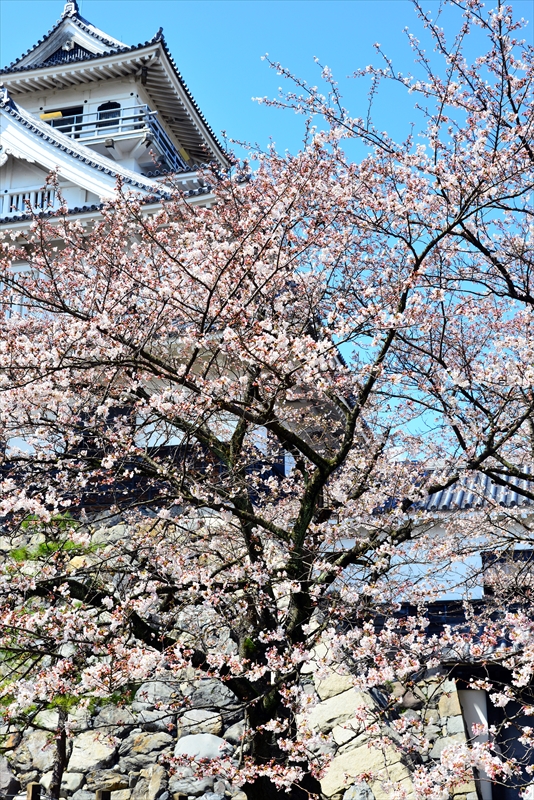 1015_6_豊公園長浜城_滋賀