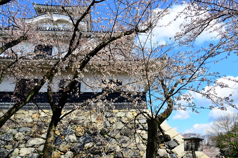 1018_6_豊公園長浜城_滋賀